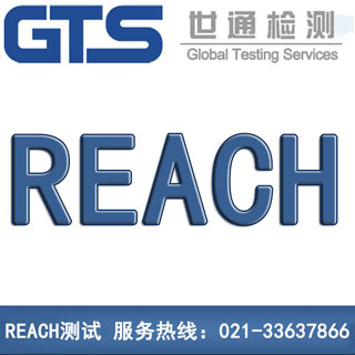 RECH測試