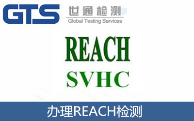 辦理REACH檢測