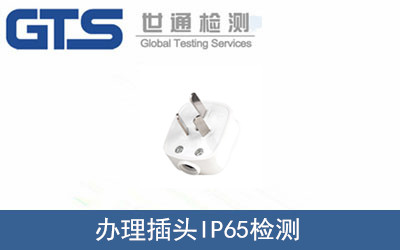 插頭IP65檢測