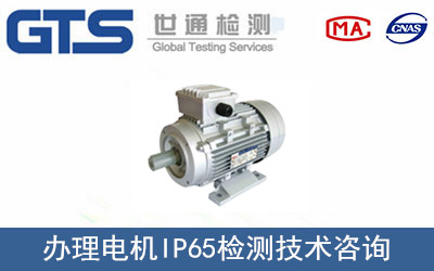 電機IP65檢測