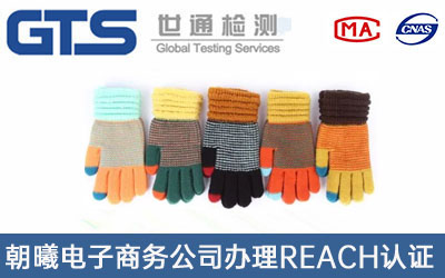 手套REACH認證